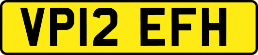 VP12EFH
