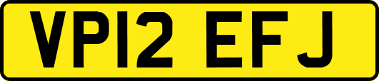VP12EFJ