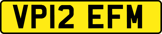VP12EFM