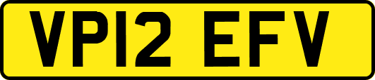 VP12EFV