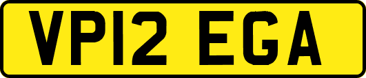 VP12EGA
