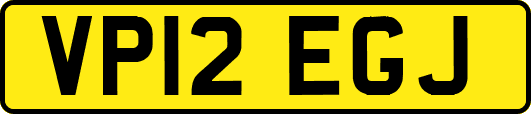 VP12EGJ