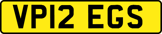 VP12EGS