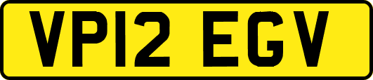 VP12EGV