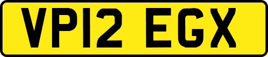 VP12EGX