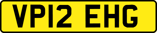 VP12EHG