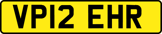 VP12EHR