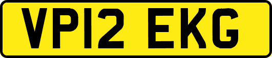 VP12EKG