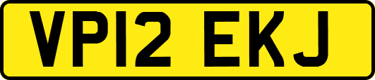 VP12EKJ