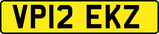 VP12EKZ