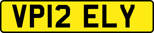 VP12ELY