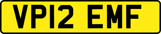 VP12EMF