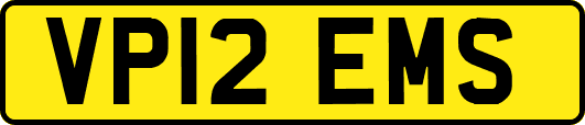 VP12EMS
