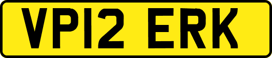 VP12ERK