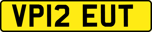 VP12EUT