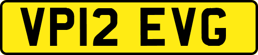 VP12EVG