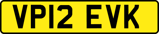 VP12EVK