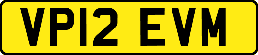 VP12EVM