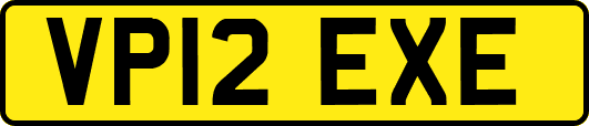 VP12EXE