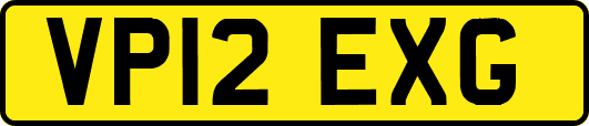VP12EXG