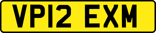 VP12EXM