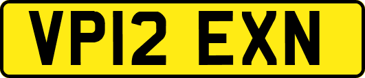 VP12EXN