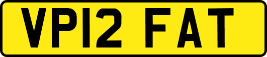 VP12FAT