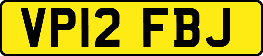 VP12FBJ