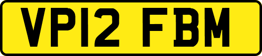 VP12FBM