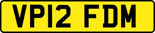 VP12FDM
