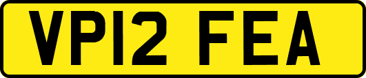 VP12FEA