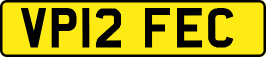 VP12FEC