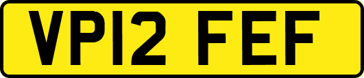 VP12FEF