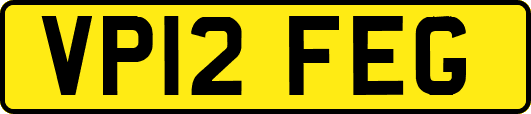 VP12FEG