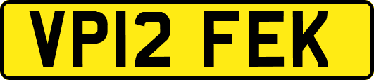 VP12FEK