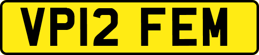 VP12FEM