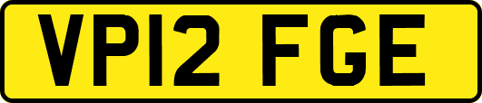 VP12FGE