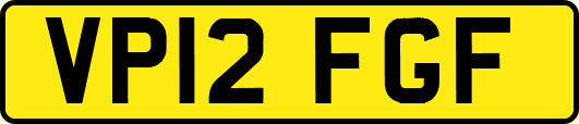 VP12FGF