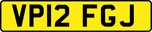 VP12FGJ