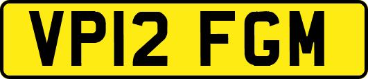 VP12FGM