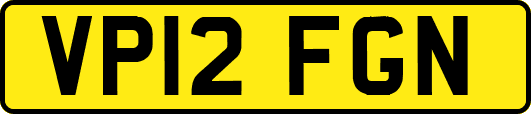 VP12FGN