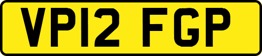 VP12FGP