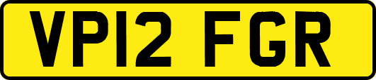 VP12FGR
