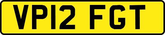VP12FGT