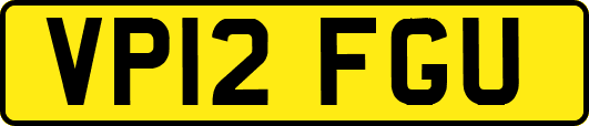 VP12FGU