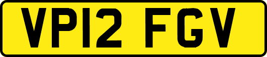 VP12FGV