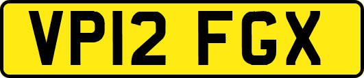 VP12FGX