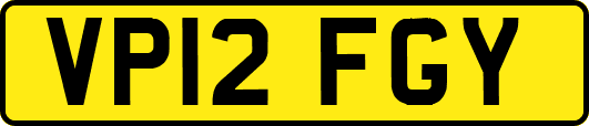 VP12FGY