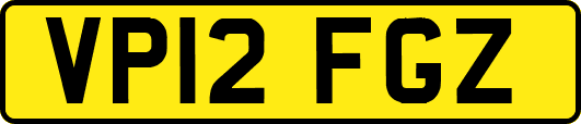 VP12FGZ