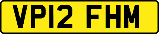 VP12FHM